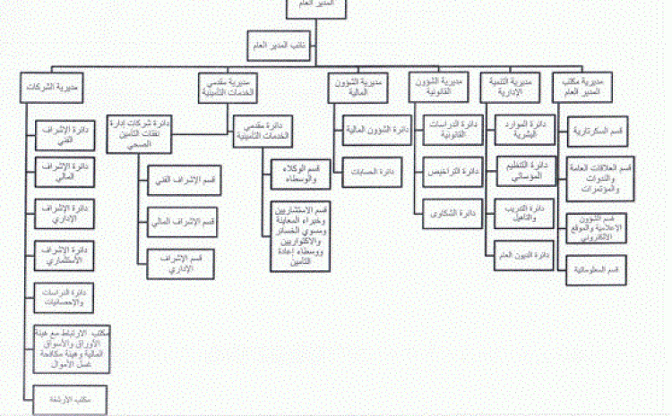 الهيكل التنظيمي