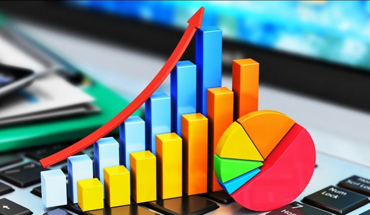 إحصائيات شركات إدارة نفقات التأمين الصحي السنوية لعام 2019
