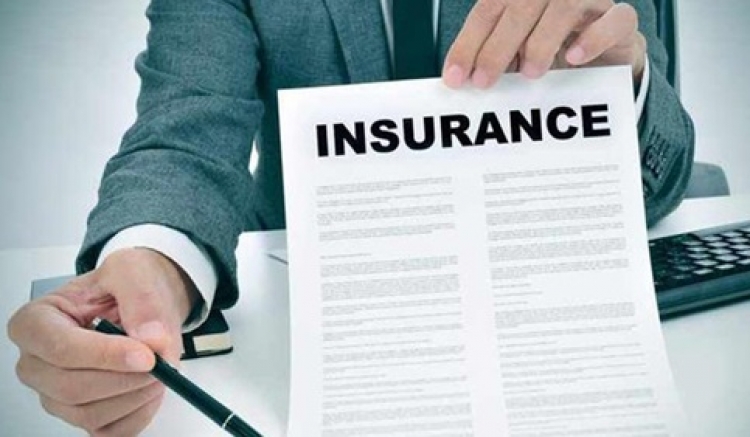 اطلعت هيئة الإشراف على التأمين بعناية على الدراسة النقدية والتحليلية لأداء شركات التأمين